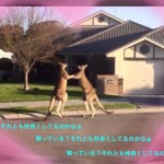現実とは自分が作り出している