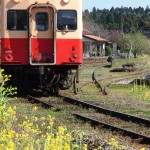 頻発する高齢ドライバーの事故　認知症と車の運転について
