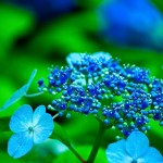 ヤブキユミ さんの【あなたが生まれてきたわけは】