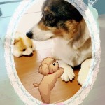 あなたの視線の先は？右上は想像や思考
