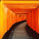 未来はどこにあるのかな
