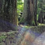 水晶、アメジスト、光のシャワーサンキャッチャー
