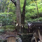 体に入ったもんは　魂に結び付く
